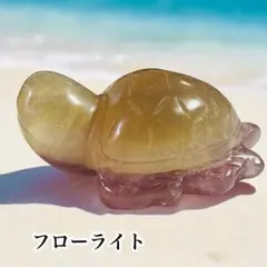 みぃ様 リクエスト 3点 まとめ商品