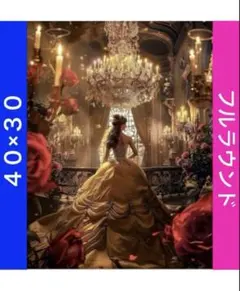 D-873 ダイヤモンドアートキットディズニー ビーズ アート ハンドメイド