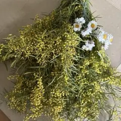 ローズマリー様 リクエスト 2点 まとめ商品