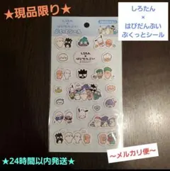 ★現品限り★しろたん はぴだんぶい ぷくっとシール