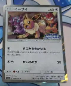 イーブイ プロモ 371/SM-P フレンドリィショップ ポケモンカード