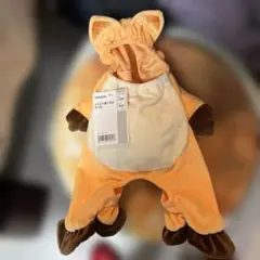 Item thumbnail for item 3891a6af-66b8-4ca5-b311-b75a56fa1953