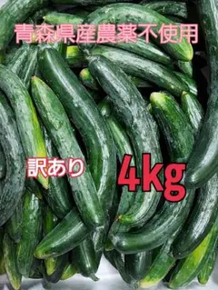 キュウリ訳あり約4㎏のサムネイル