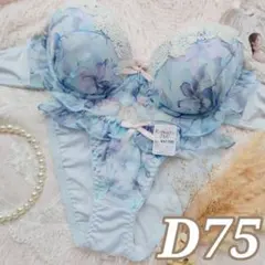 №1497【D75】ケミカル水彩リリーフリルブラジャー＆フルバッフショーツ