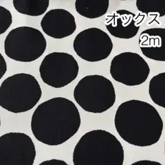 2m にじみ水玉 生成り地 オックス