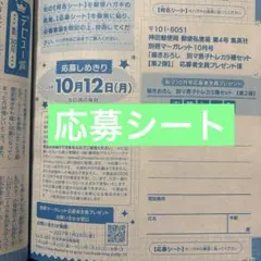 別マ男子トレカ　応募シート　応募券