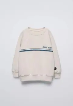 ZARA ストライププリントスウェット