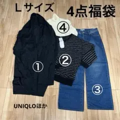 【未使用2点あり】UNIQLO、アズノウアズほか4点まとめ売りＬサイズ