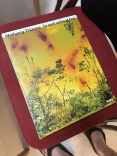 wolfgang tillmans