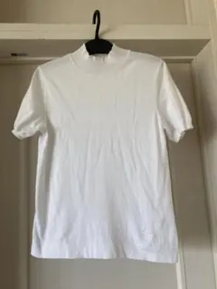 バーバリー半袖綿100%ハイネックニット