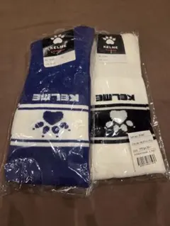 Item thumbnail for item dd9d4a03-855f-4442-8f60-8f12dc9479e5