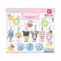 JOCHUM ジェオチャム ぽぽ