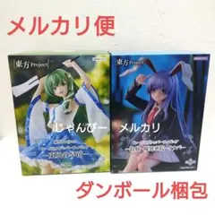 【匿名配送】東方Project　ぬーどるストッパー　フィギュア　2種セット③