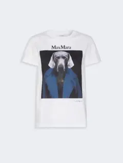 新品未使用MaxMara [カルカ] ピュア コットン ジャージー Tシャツのサムネイル