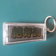 ヘンタイワークス ヘンタイカメラマンキーホルダー絶好調