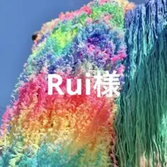Rui様　おまとめ