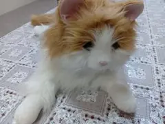 猫のぬいぐるみ リアルな