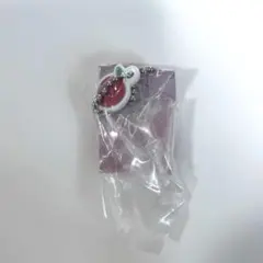 【新品】Anua ミニチュアチャーム