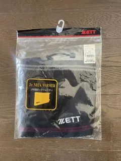 Item thumbnail for item 80efd520-7fd7-4a38-a1c3-fb9d37715063