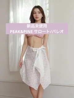 Item thumbnail for item 93993752-4ce7-46a5-94d3-8aac434474a9