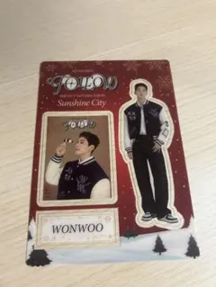 ウォヌSEVENTEEN 限定クリアカード