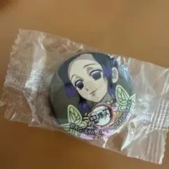 鬼滅の刃　マグネット　胡蝶しのぶ