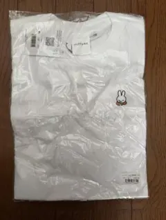 Item thumbnail for item 3e1fed5f-4b83-4a8f-8de5-f4881a676e06