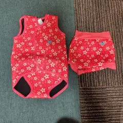 Item thumbnail for item 19d023b3-064f-43b4-830e-03fe44023ef7