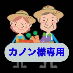 カノン様専用 淡路島産新玉ねぎ 秀品5kg 茎付きスーパーアップ 高糖度 夢玉