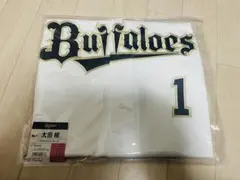 Item thumbnail for item 4b8b4516-2760-4d14-8586-ce164a6e2d18