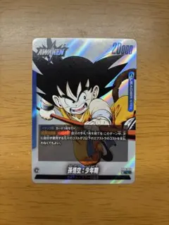 フュージョンワールド　孫悟空少年期　リーダー