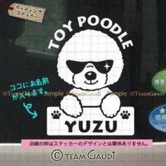 トイプードル　名前入　カッティング　ステッカー ドッグインカー　シール　犬