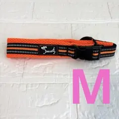 犬の首輪 犬用訓練首輪 おしゃれ セーフティバックルオレンジ Mサイズ