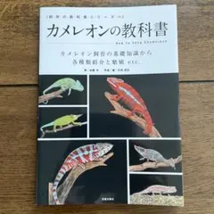 Item thumbnail for item c839b972-02b7-42f4-ac25-b5dc5f6f5a5c