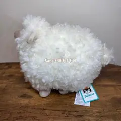 新品　jellycat Rolbie sheep Cream Small ヒツジのサムネイル