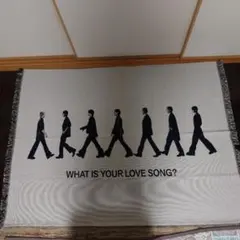 SONIC YOUTH × HYSTERIC GLAMOUR スローケット - メルカリ