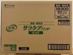 Item thumbnail for item 0386c130-480f-4b0c-92e4-cbec04b782ed