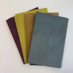 Item thumbnail for item 8642d630-bd62-47c3-ae56-0509781e0c50