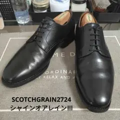 【美品】スコッチグレイン インペリアルブラックⅡ 25cm スコッチグレイン 937 インペリアルII ストレートチップ ウィズ