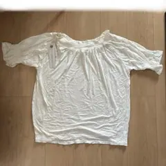 Item thumbnail for item a3485e5f-1bcc-440d-816c-aceba731d886