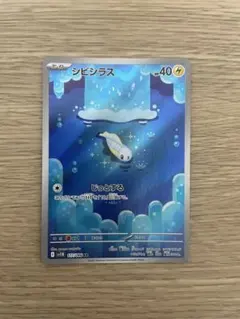 シビシラス AR SV11B ブラックボルト 117/086