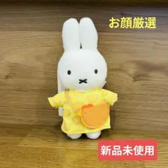 Item thumbnail for item ec4c6a1d-0419-4e3c-bf0b-3b740ac09111