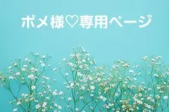 ポメ様♡専用ページ