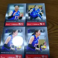 西村弥菜美 バレーボールカードセット 2025