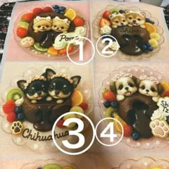 しあさん様ご確認用♥可愛いチワワ柄♥フラットポーチ♥ハンドメイド