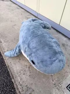 Item thumbnail for item a2891274-9903-4b53-b241-68c028a8b93b