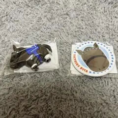 DMMスクラッチ サラブレッドコレクション第９弾　ヴィクトワールピサ