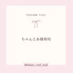 ちゃんとあ様専用ページ　ネイルパーツ