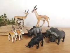 ガゼルとバッファローとヌー