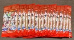 Item thumbnail for item 7d8250b0-8f51-4968-bf11-8ede6272d604